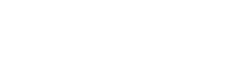 Allianz pro Schiene